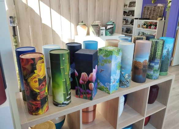 Nos urnes