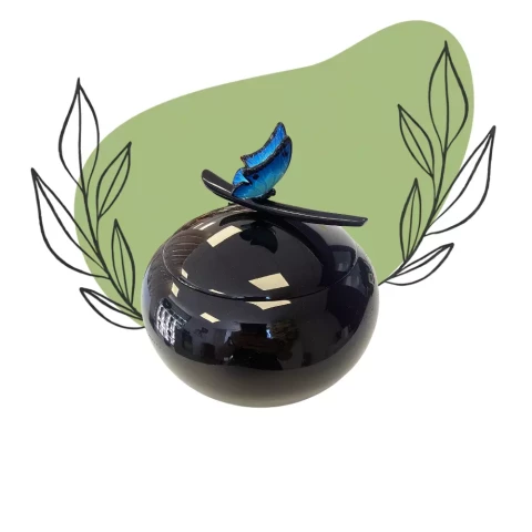 Urne noire papillon